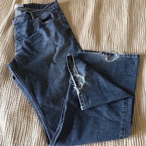 Express Precision Fit Denim